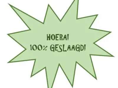Al onze leerlingen van 4 vmbo-tl zijn geslaagd!